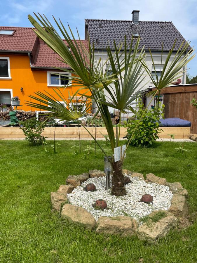 Le Potiron Apartment Scheidgen ภายนอก รูปภาพ